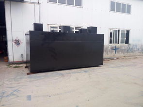 高效潔凈，守護環境 地埋式豆類加工污水處理與洗滌設備解決方案